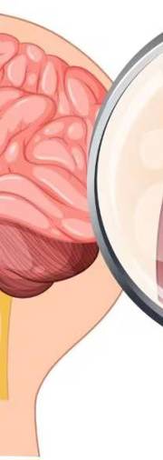 Deadly brain-eating amoeba cases rising in Kerala: Doctors share warning signs and prevention tips Deadly brain-eating amoeba cases rising in Kerala: Doctors share warning signs and prevention tips